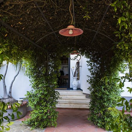 Villa Gio B&B De Charme Montecorice Eksteriør bilde
